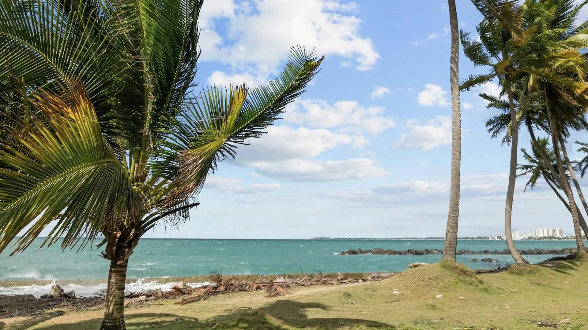 Apartment San Juan Apartament With Beach Access Puerto Rico